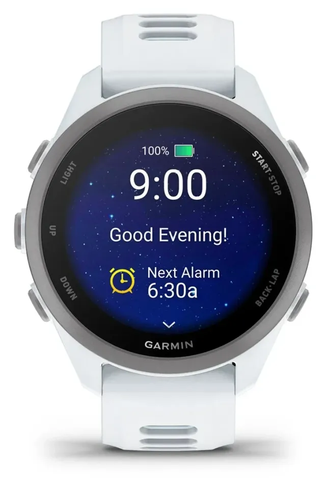 Garmin Forerunner 170 — Whitestone/Cloud Blue, vista 2