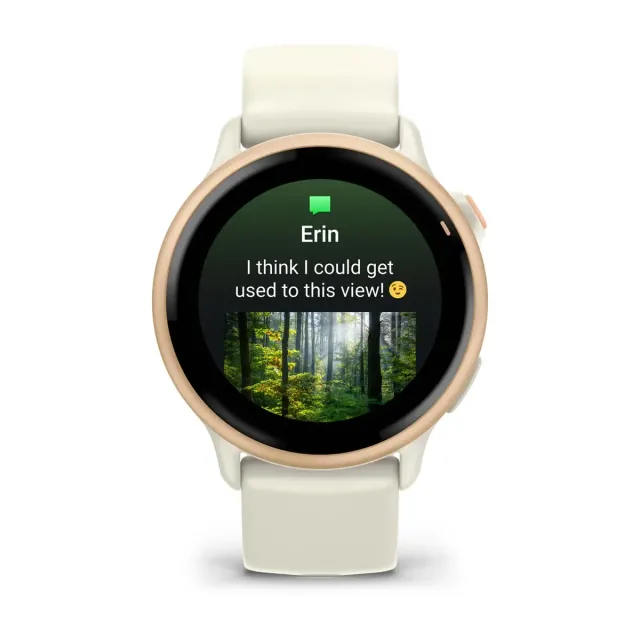 Garmin Vivoactive 6 — Lunar Gold, vista 2