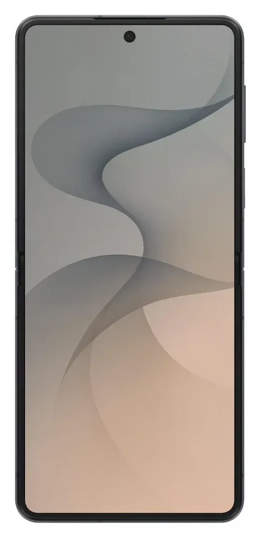 Samsung Galaxy Z Flip8 256 GB Graphite (SM-F776B), vista 4