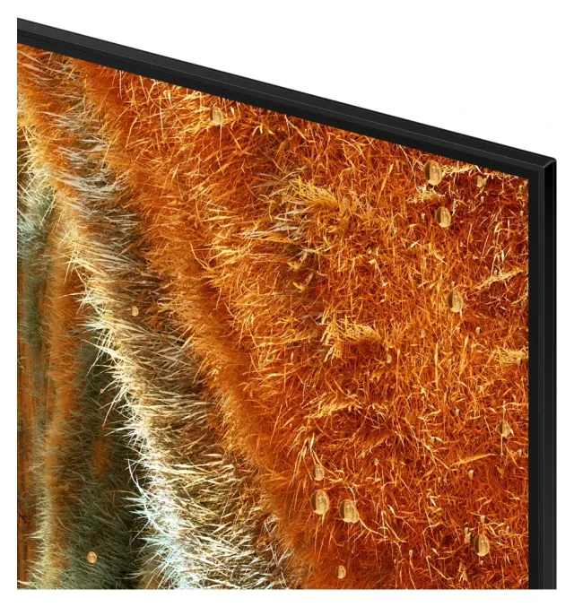 Samsung Neo QLED QN70F 55" 4K 144 Hz, vista 4