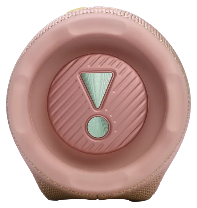 JBL Charge 6 Pink, vista 6