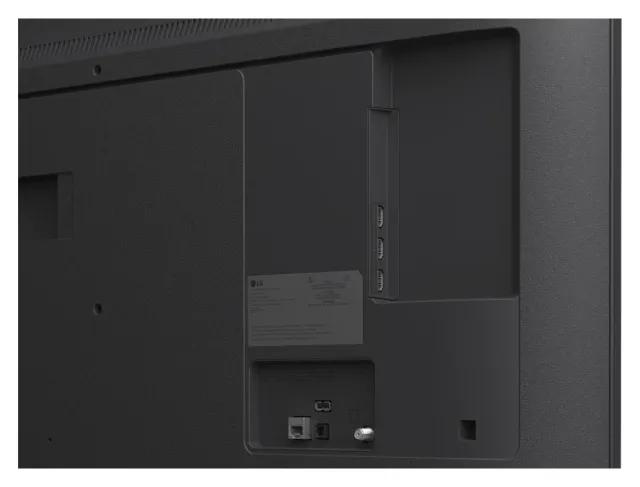 LG QNED73 55" 4K, vista 6